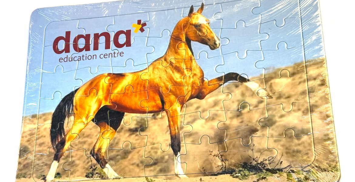 Puzzle